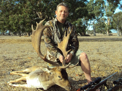 Fallow Deer 1